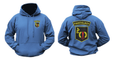 ARW Hoodie – Irish Army Ranger Wing Fianóglach Special Forces Sweatshirt