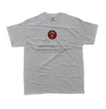 Front view of University of Copenhagen t-shirt in sport grey featuring the central academic seal with Danish and English minimalist text.